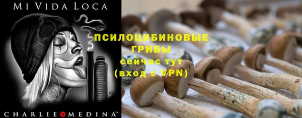 СК Алексеевка