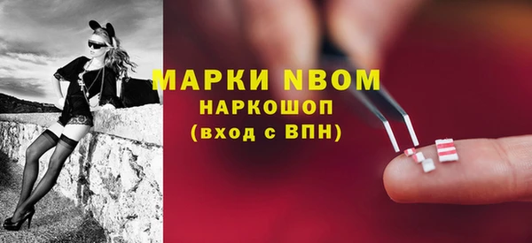 стафф Алзамай