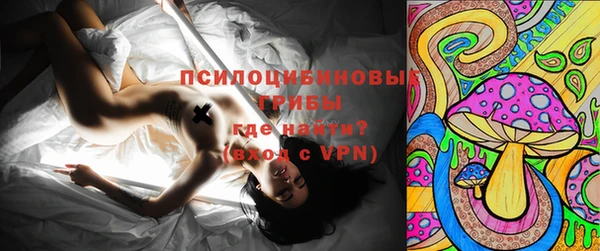стафф Алзамай