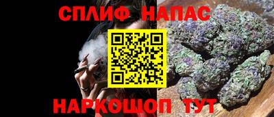 гашик Краснознаменск