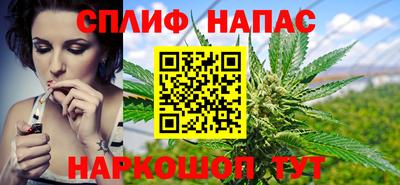 гашик Краснознаменск