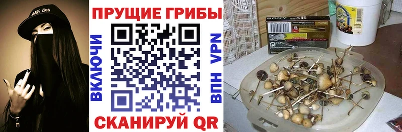 продажа наркотиков  МЕГА как зайти  Псилоцибиновые грибы MAGIC MUSHROOMS  Лобня 